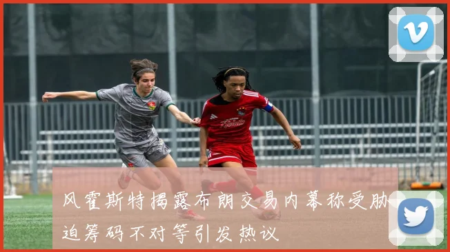 风霍斯特揭露布朗交易内幕称受胁迫筹码不对等引发热议